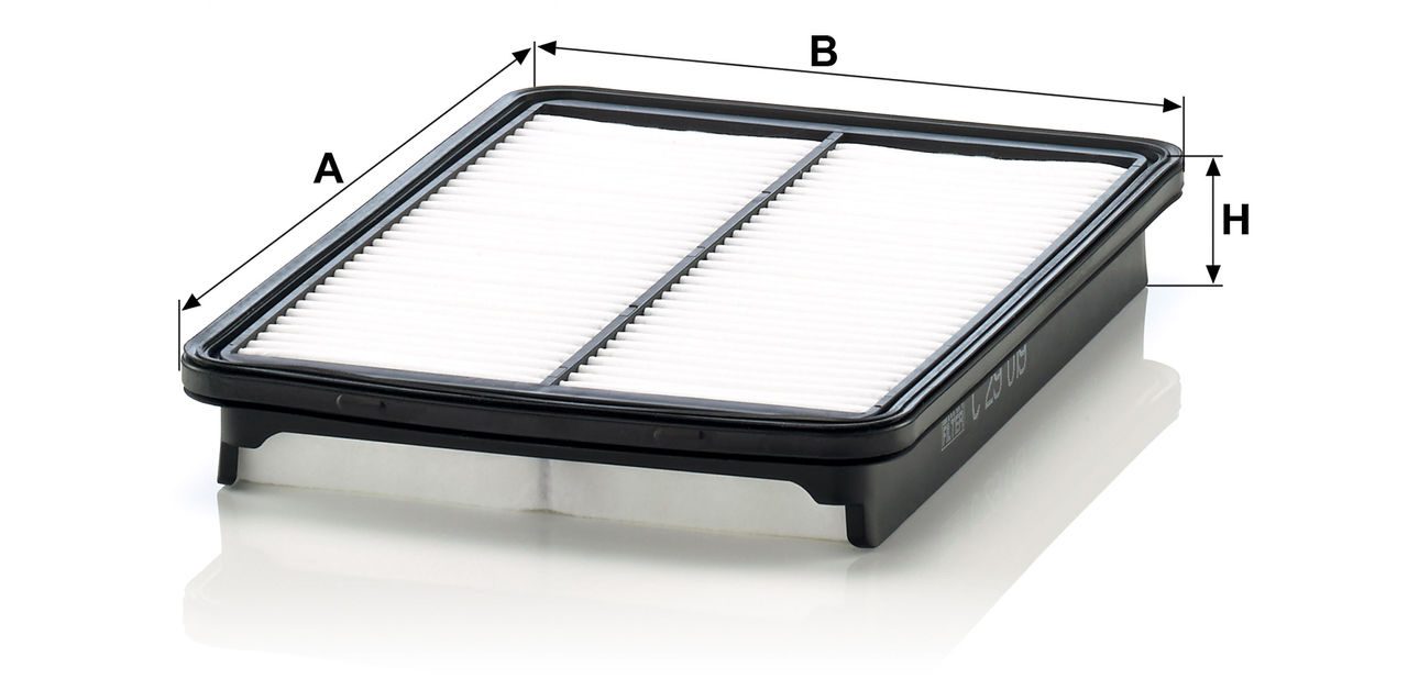 Product Image C29019_MANN-FILTER