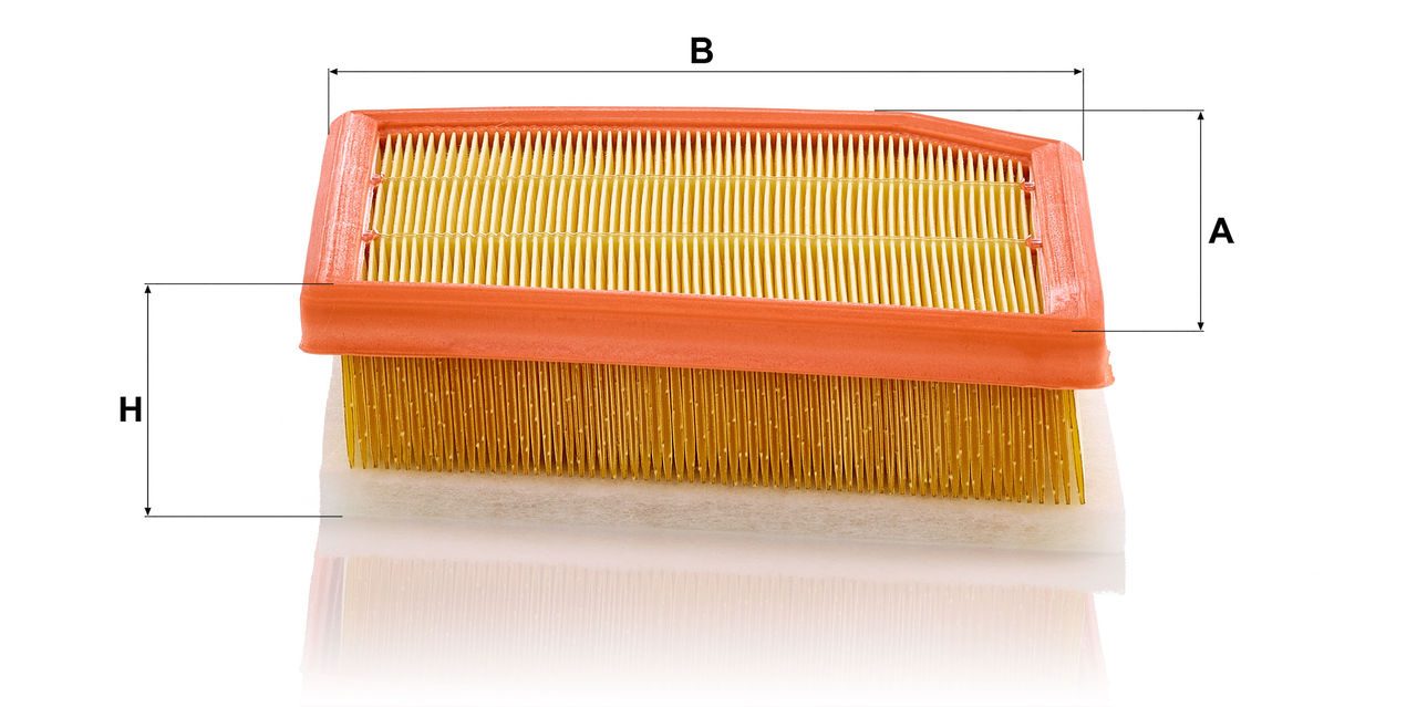 Product Image C29030_MANN-FILTER