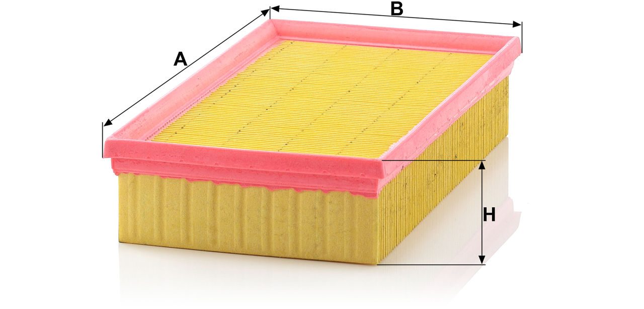 Product Image C29121_MANN-FILTER