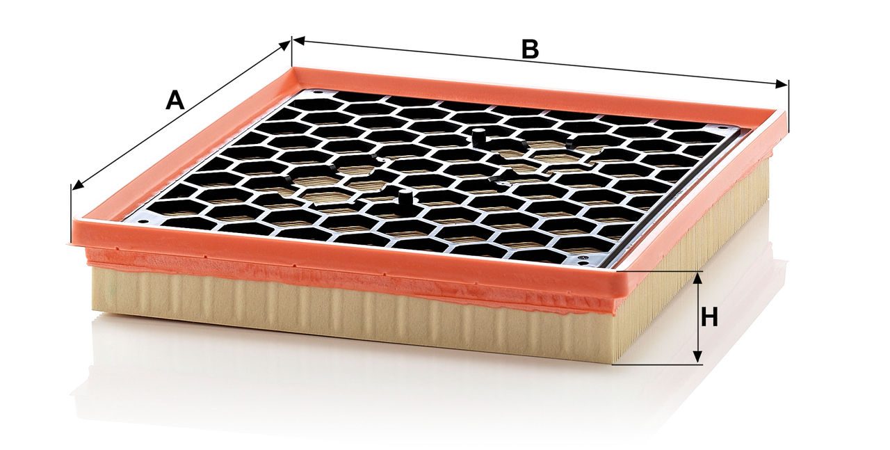 Product Image C29145_MANN-FILTER