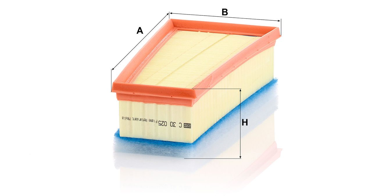 Product Image C30025_MANN-FILTER