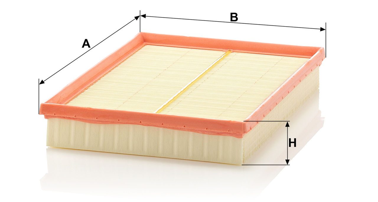 Product Image C30125/1_MANN-FILTER