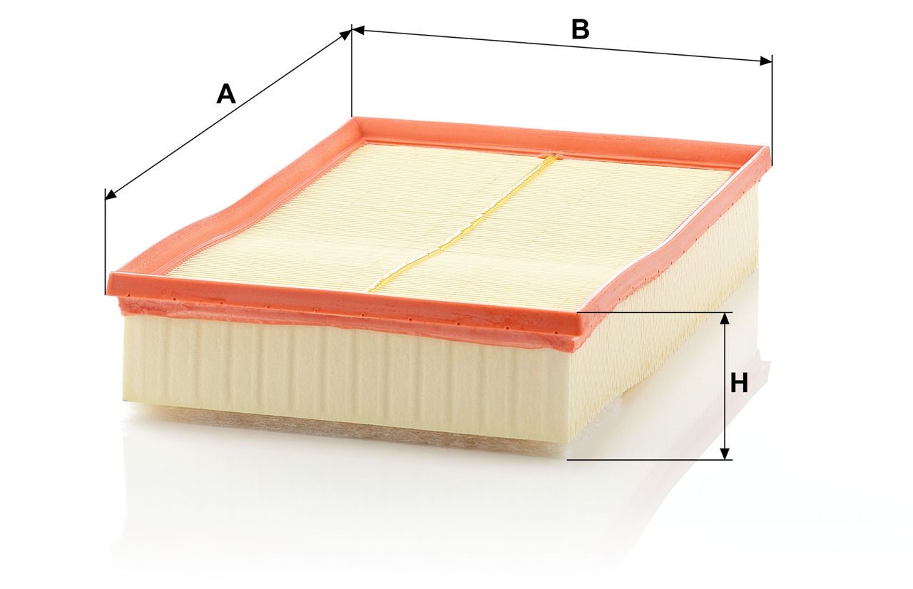 Product Image C30189/1_MANN-FILTER