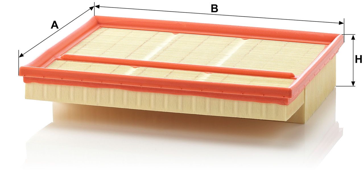 Product Image C30195/2_MANN-FILTER
