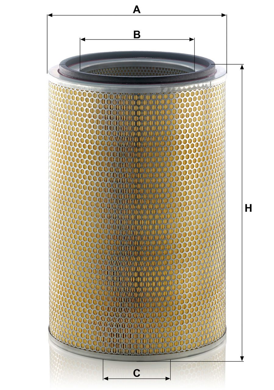 Product Image C31013_MANN-FILTER