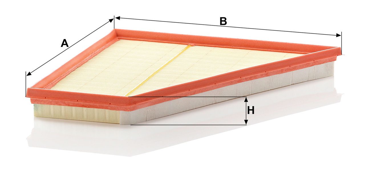 Product Image C32125_MANN-FILTER