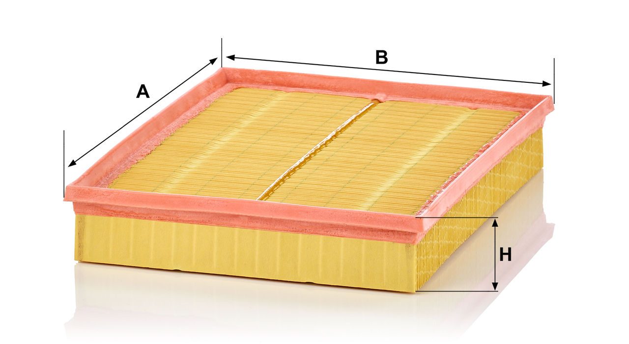Product Image C33189_MANN-FILTER