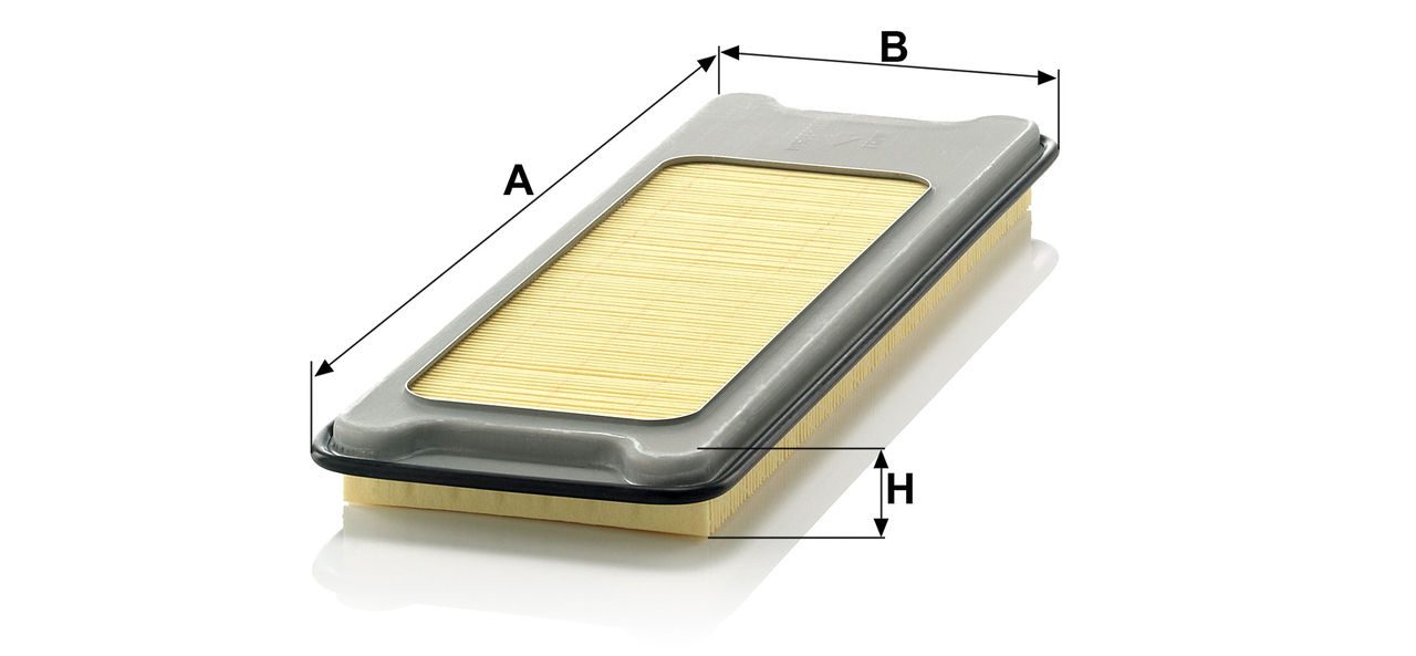 Product Image C4373/2_MANN-FILTER