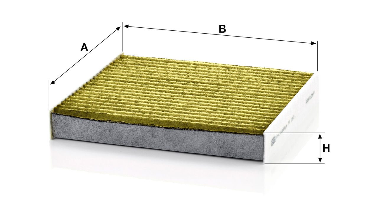 Product Image FP1919_MANN-FILTER