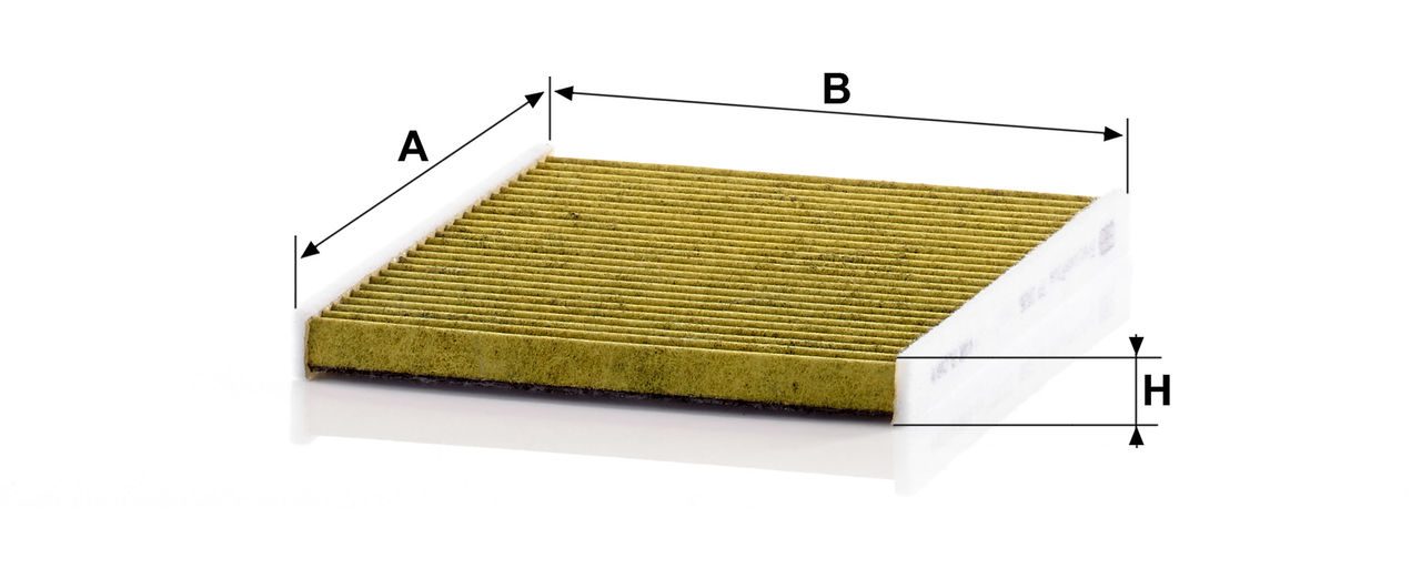 Product Image FP2026_MANN-FILTER