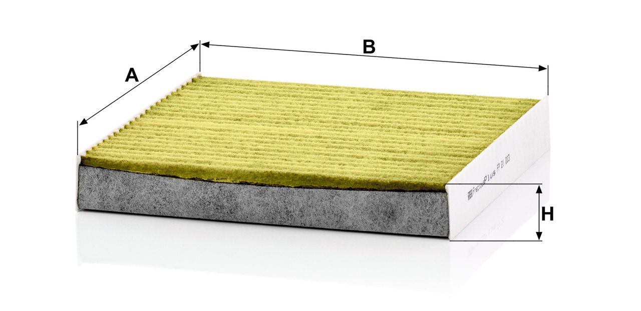 Product Image FP21003_MANN-FILTER