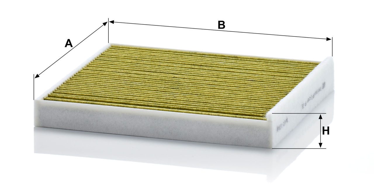 Product Image FP22013_MANN-FILTER