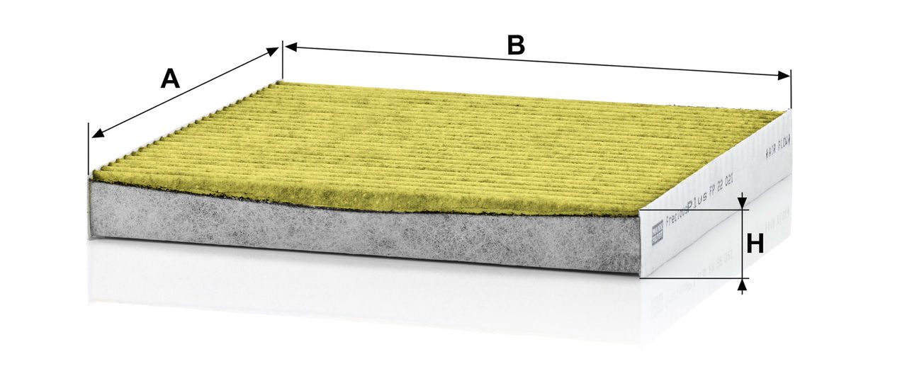 Product Image FP22021_MANN-FILTER