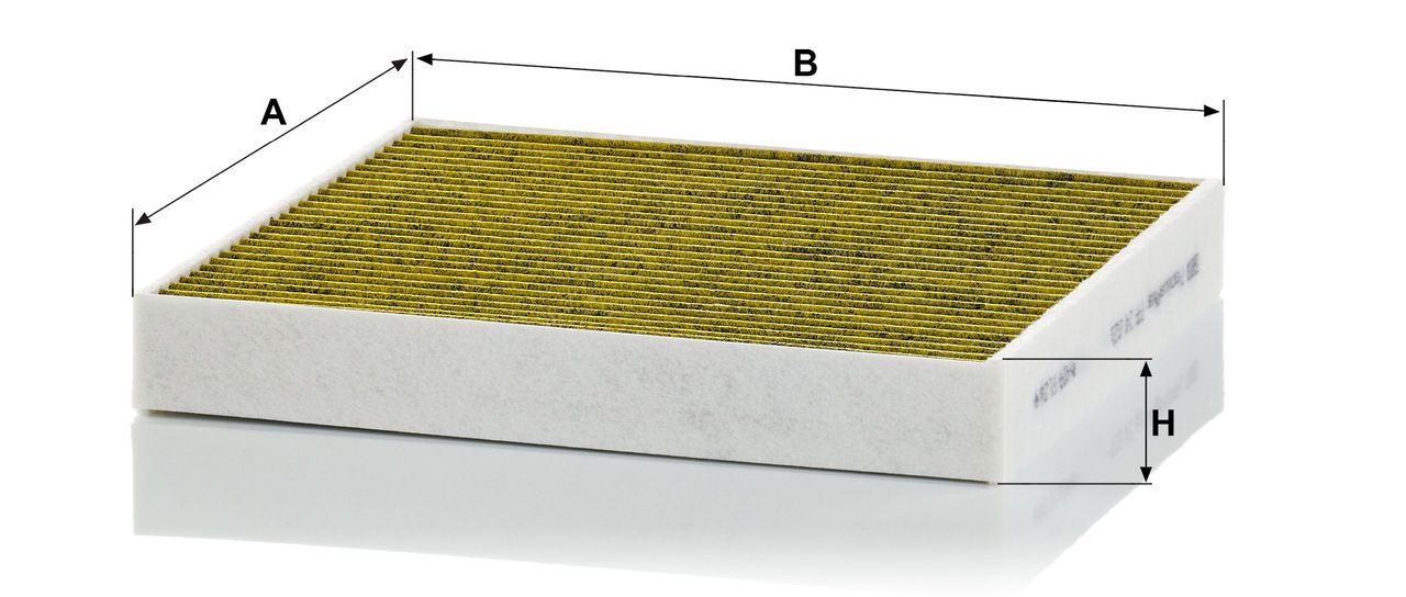 Product Image FP24021_MANN-FILTER