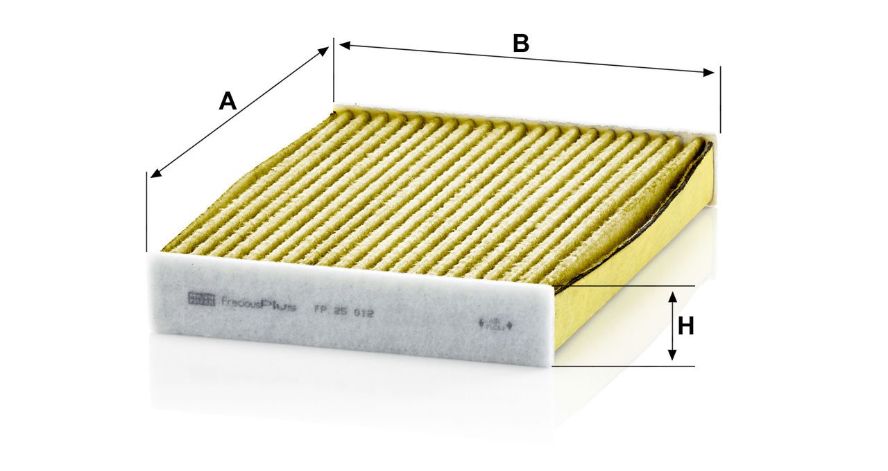 Product Image FP25012_MANN-FILTER