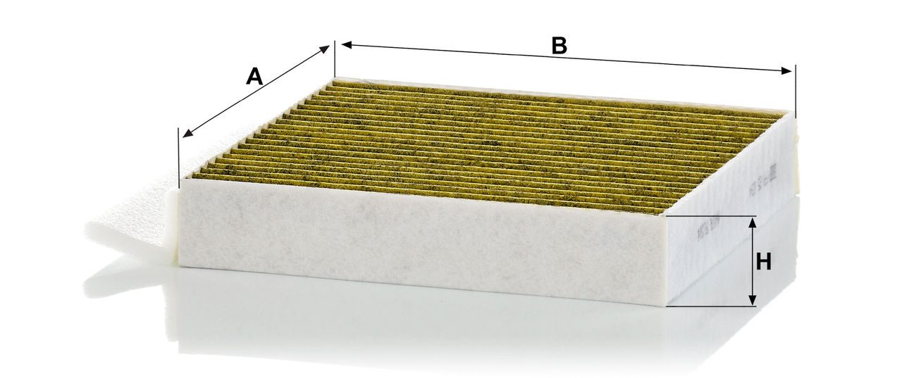 Product Image FP25034-2_MANN-FILTER