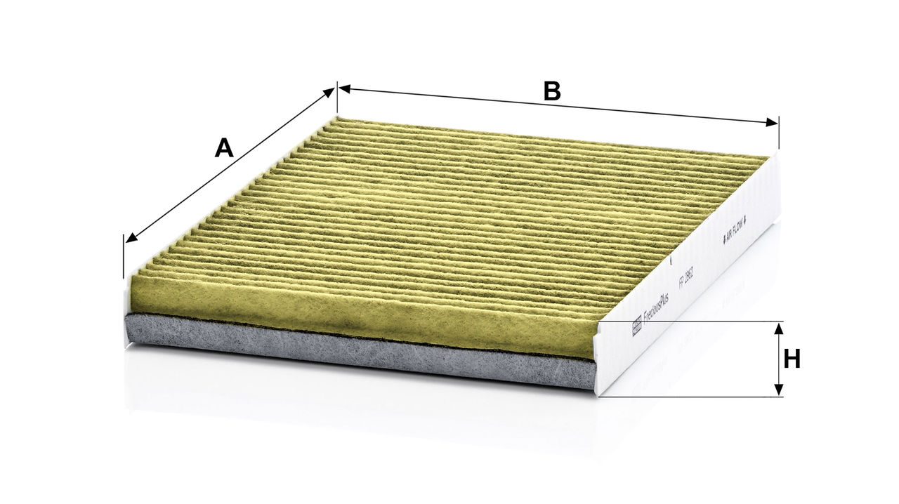 Product Image FP2862_MANN-FILTER