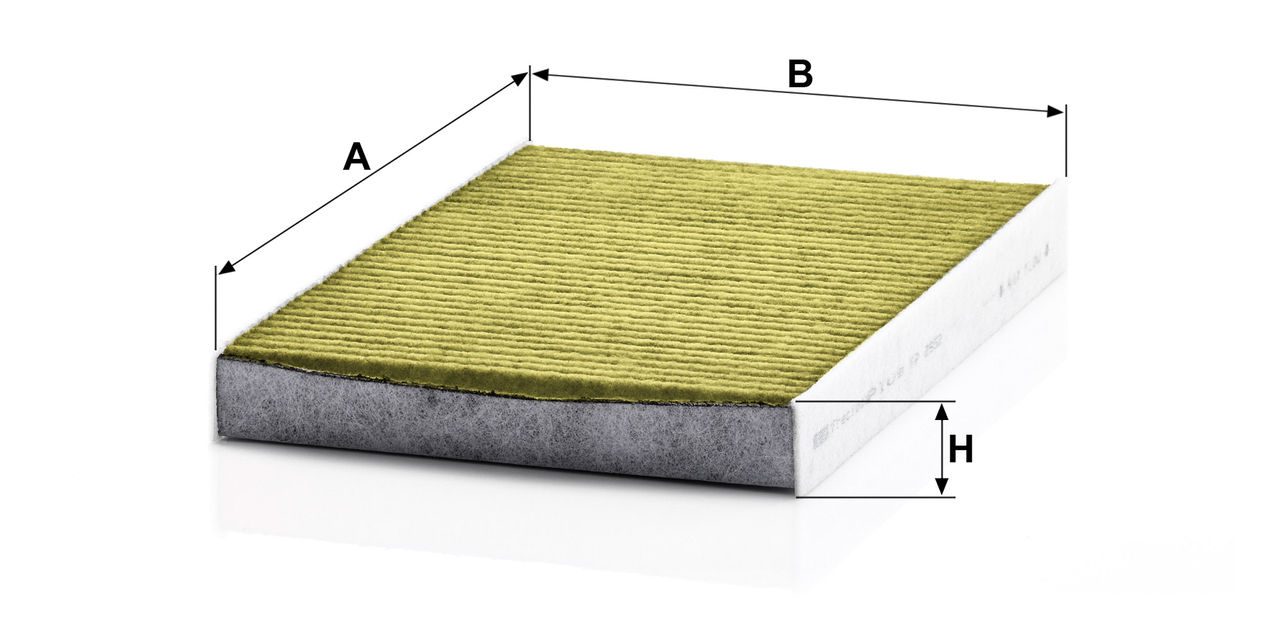 Product Image FP2952_MANN-FILTER