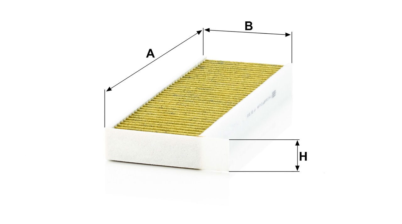 Product Image FP29003-2_MANN-FILTER