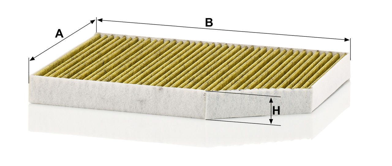 Product Image FP30007_MANN-FILTER