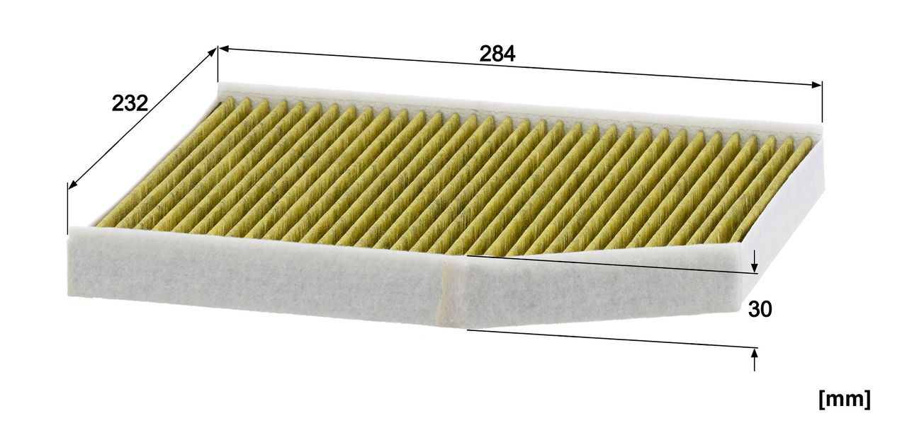 Product Image FP29007_MANN-FILTER