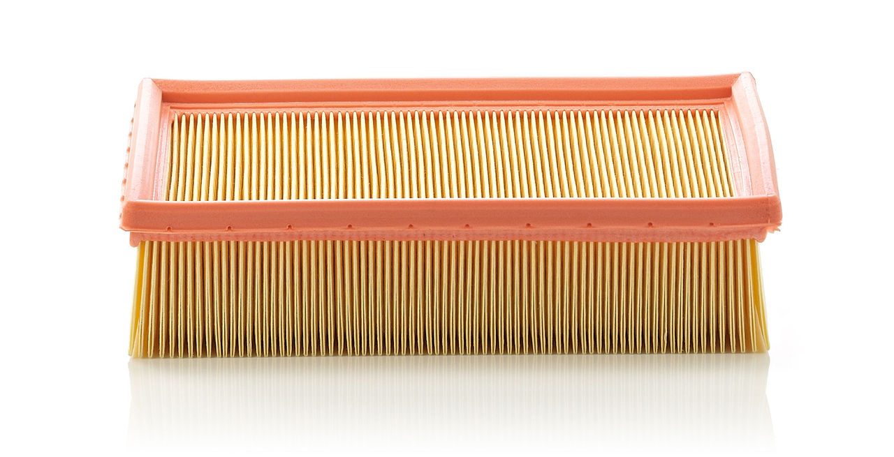 Product Image C24105_MANN-FILTER
