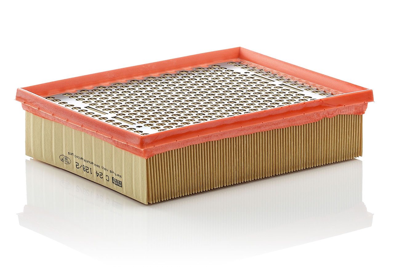 Product Image C24128/2_MANN-FILTER