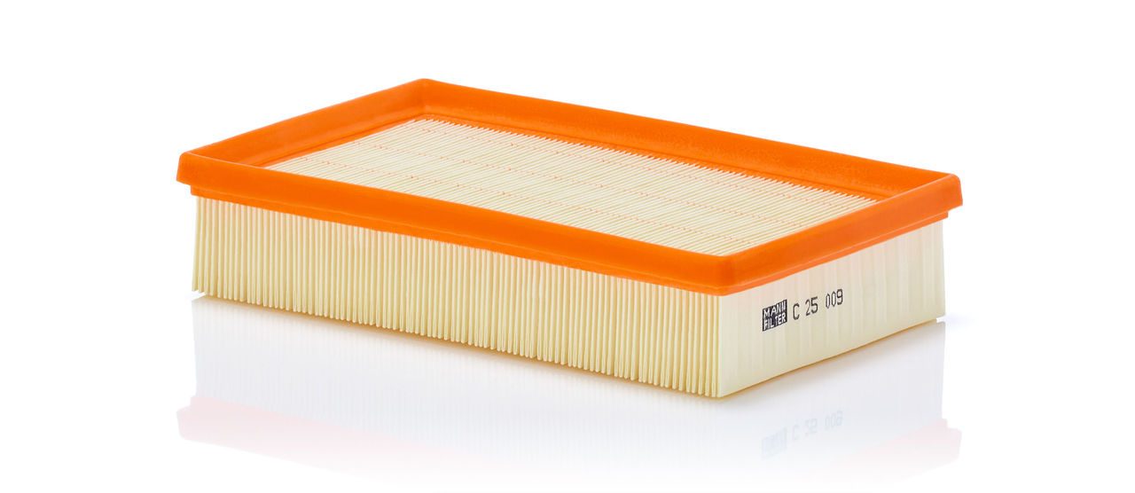Product Image C25009_MANN-FILTER