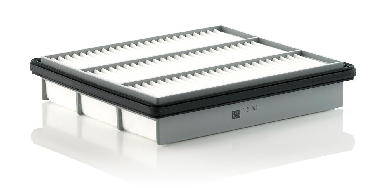Product Image C25020_MANN-FILTER