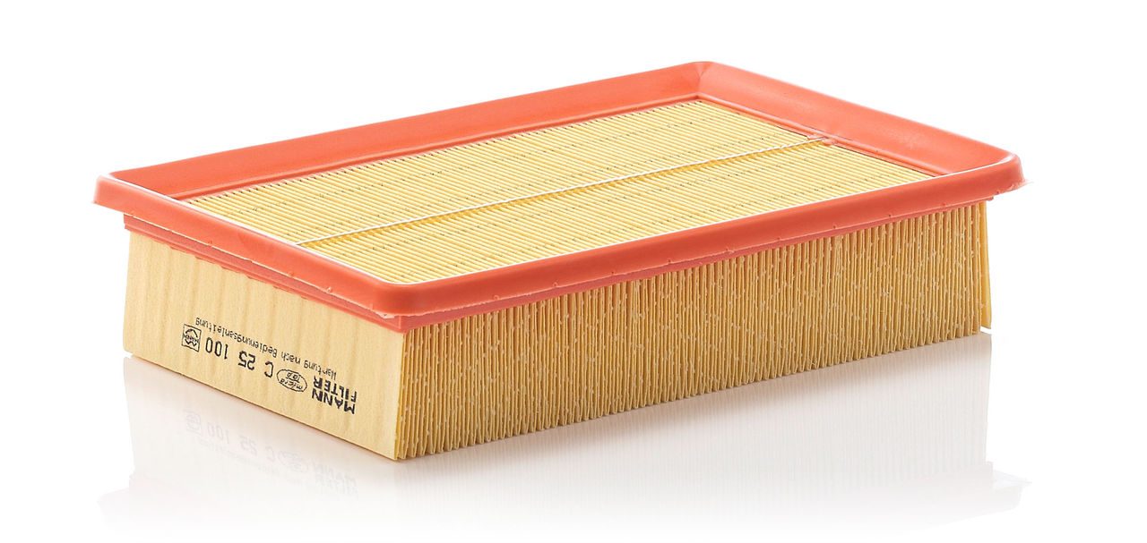 Product Image C25100_MANN-FILTER