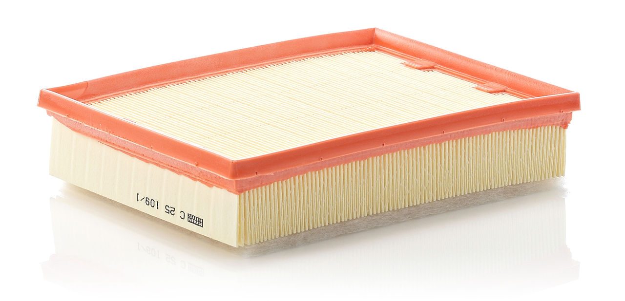 Product Image C25109/1_MANN-FILTER