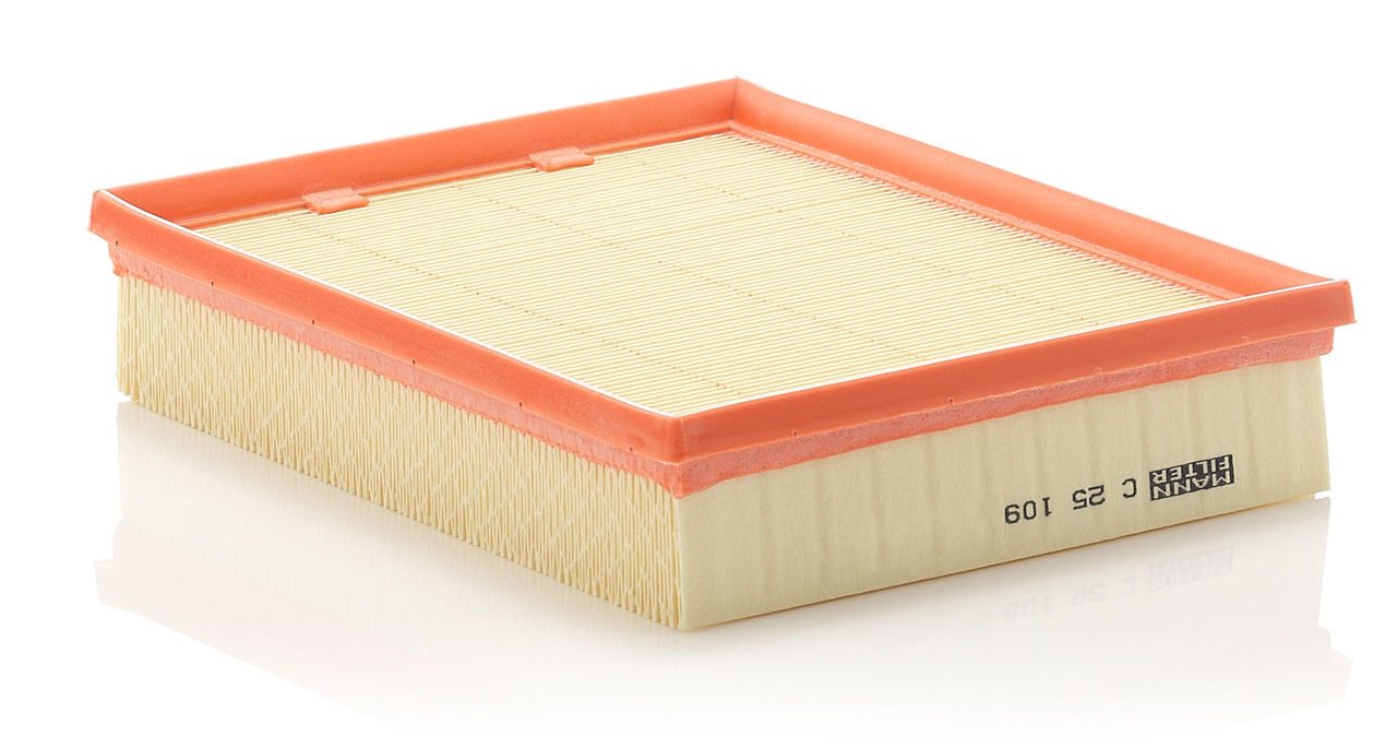 Product Image C25109_MANN-FILTER