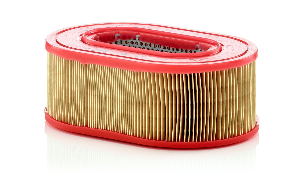 Product Image C25124_MANN-FILTER