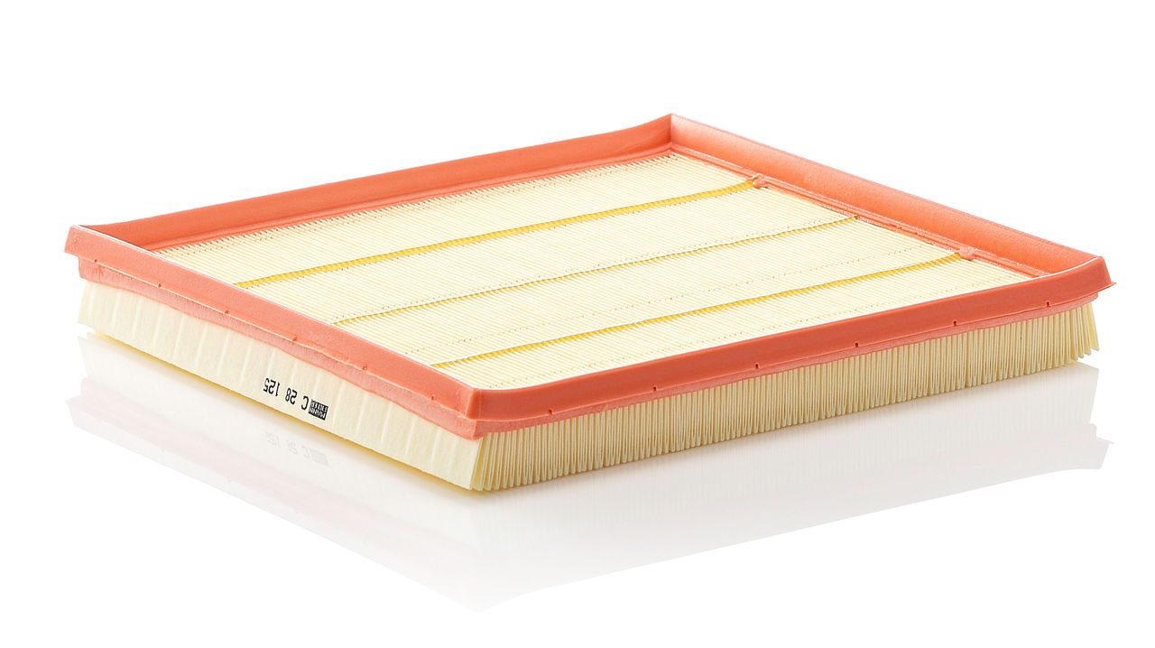 Product Image C28125_MANN-FILTER
