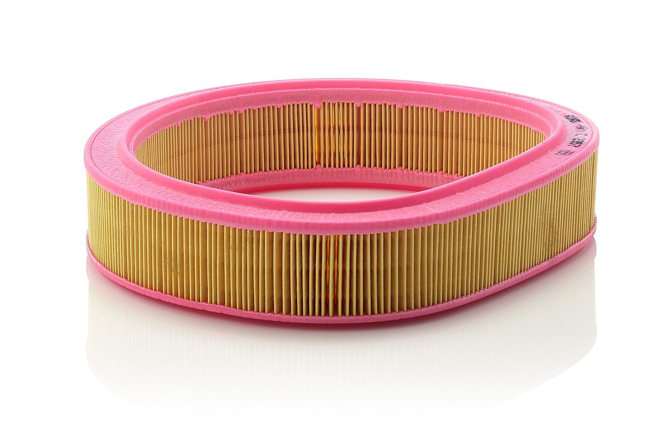Product Image C2957_MANN-FILTER