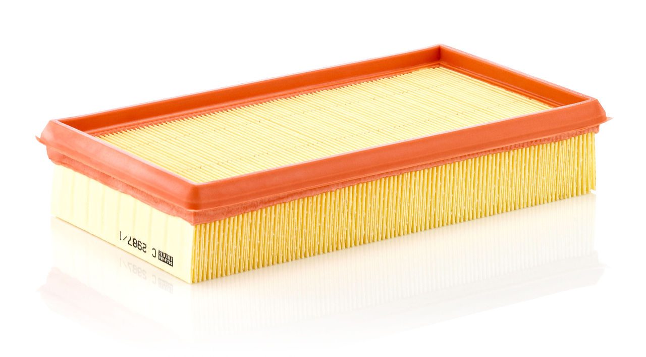 Product Image C2987/1_MANN-FILTER