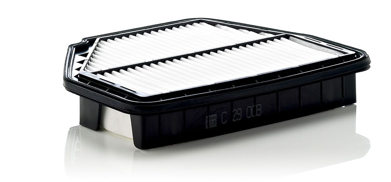 Product Image C29008_MANN-FILTER