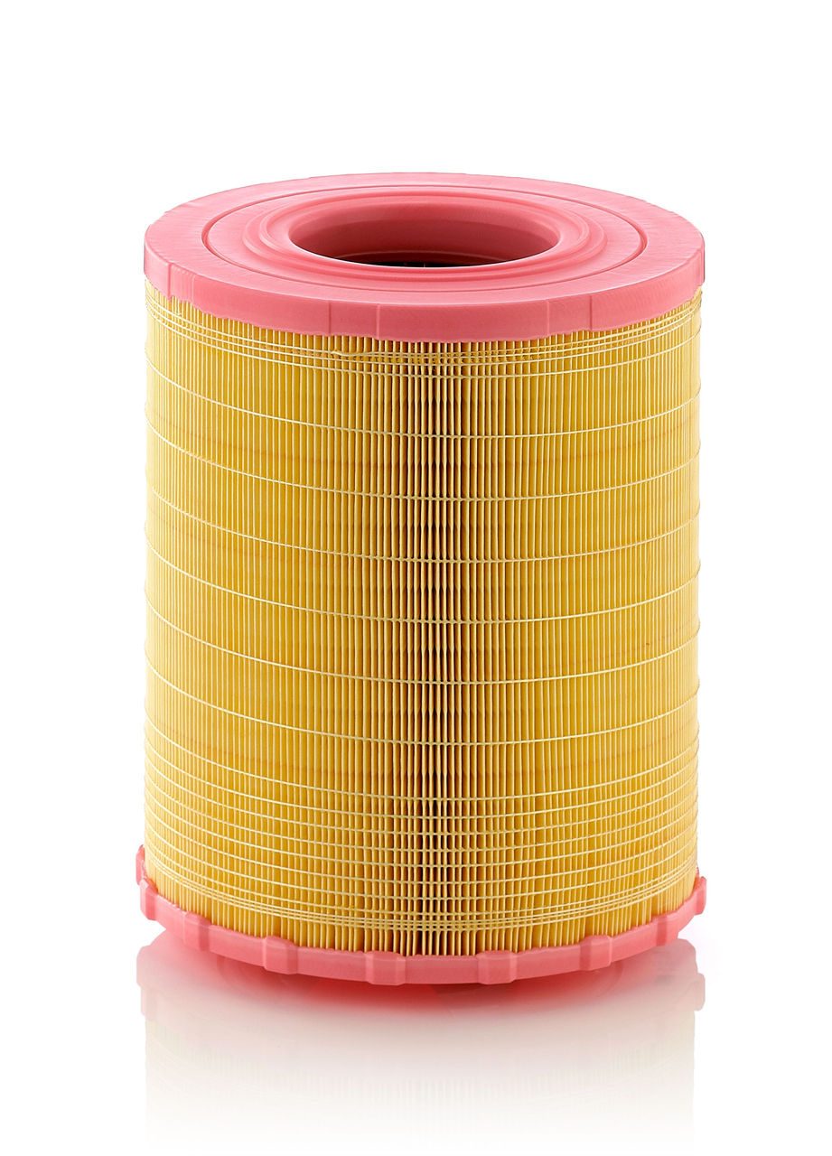 Product Image C29010_MANN-FILTER