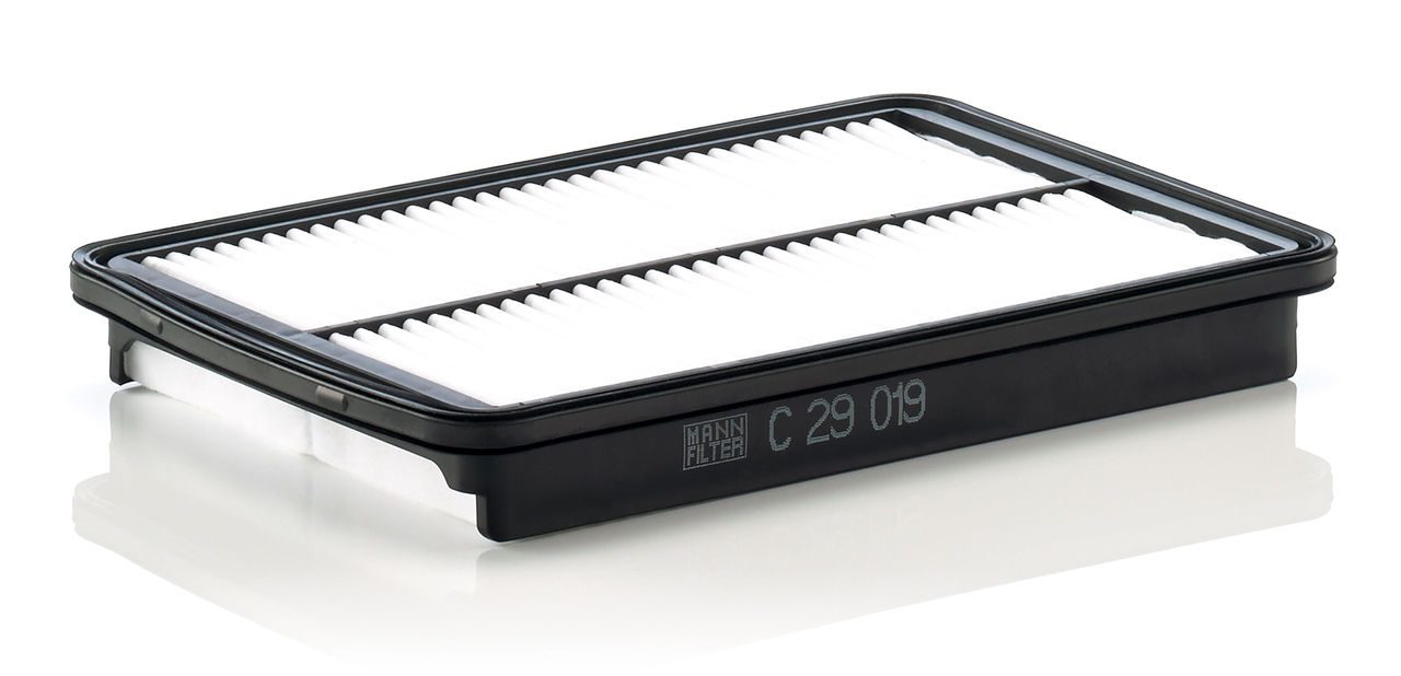 Product Image C29019_MANN-FILTER