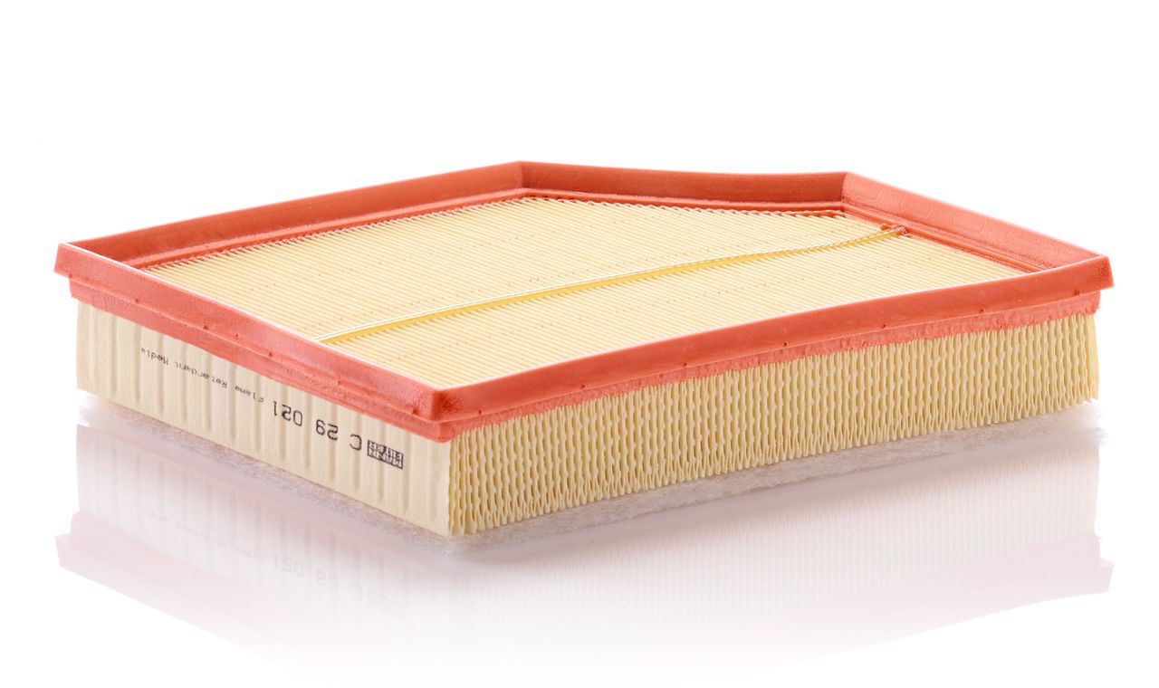 Product Image C29021_MANN-FILTER