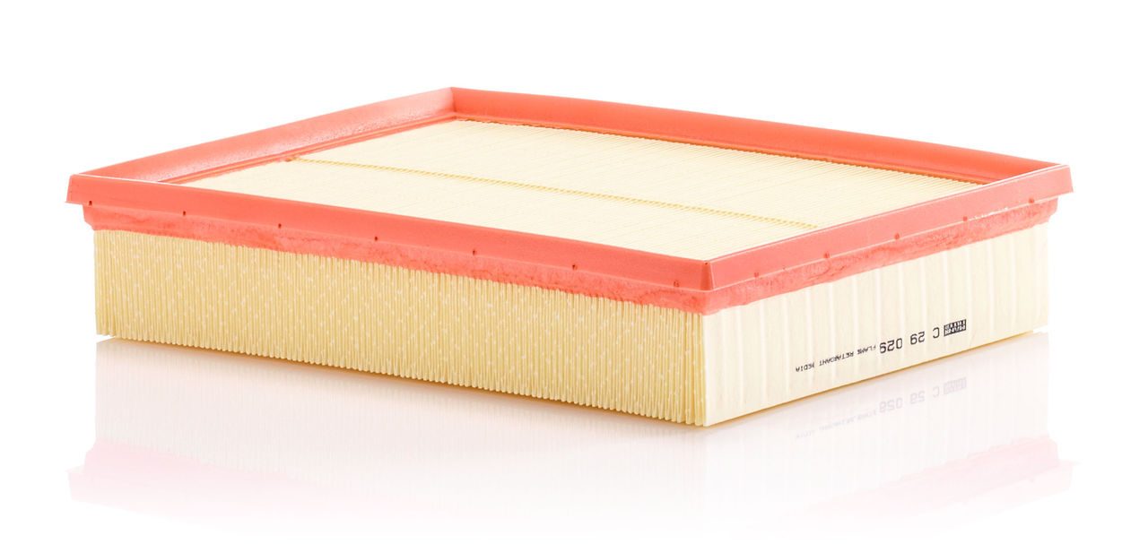 Product Image C29029_MANN-FILTER