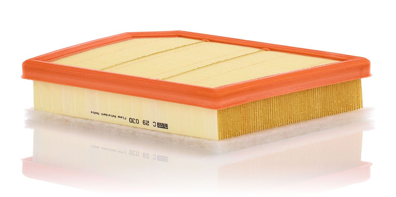 Product Image C29030_MANN-FILTER