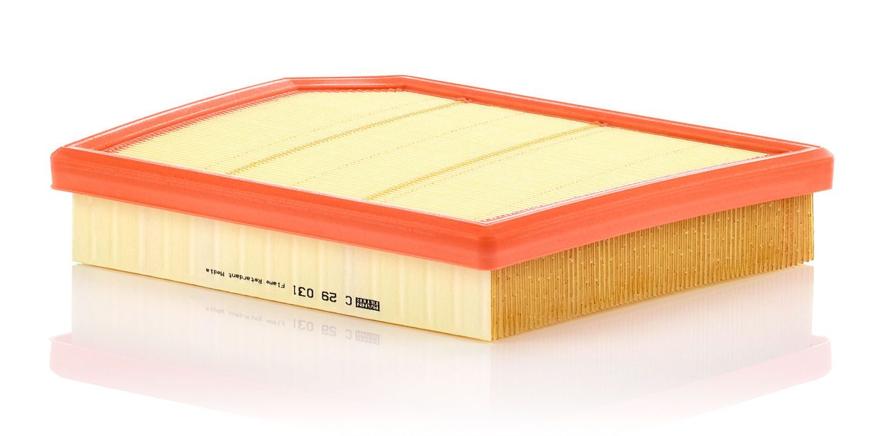 Product Image C29031_MANN-FILTER
