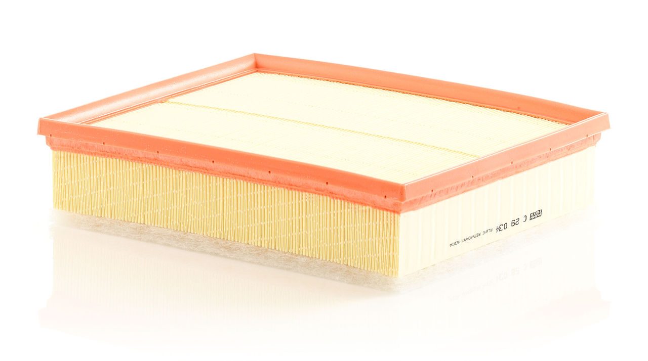 Product Image C29034_MANN-FILTER