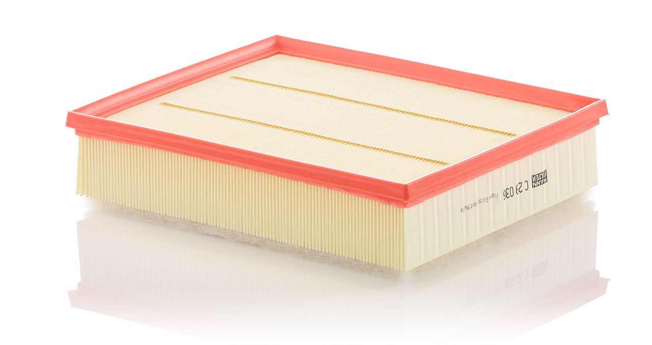 Product Image C29036_MANN-FILTER