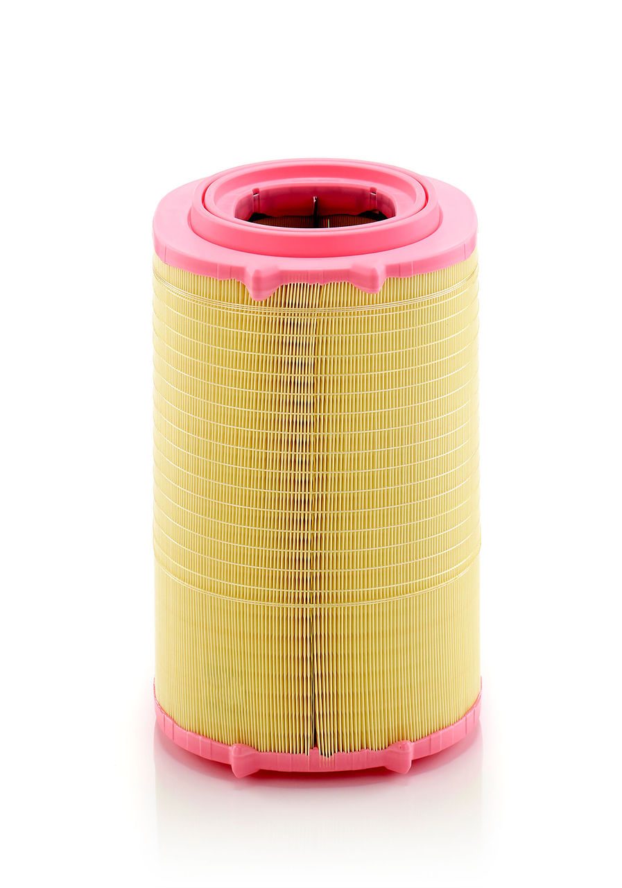 Product Image C29046_MANN-FILTER
