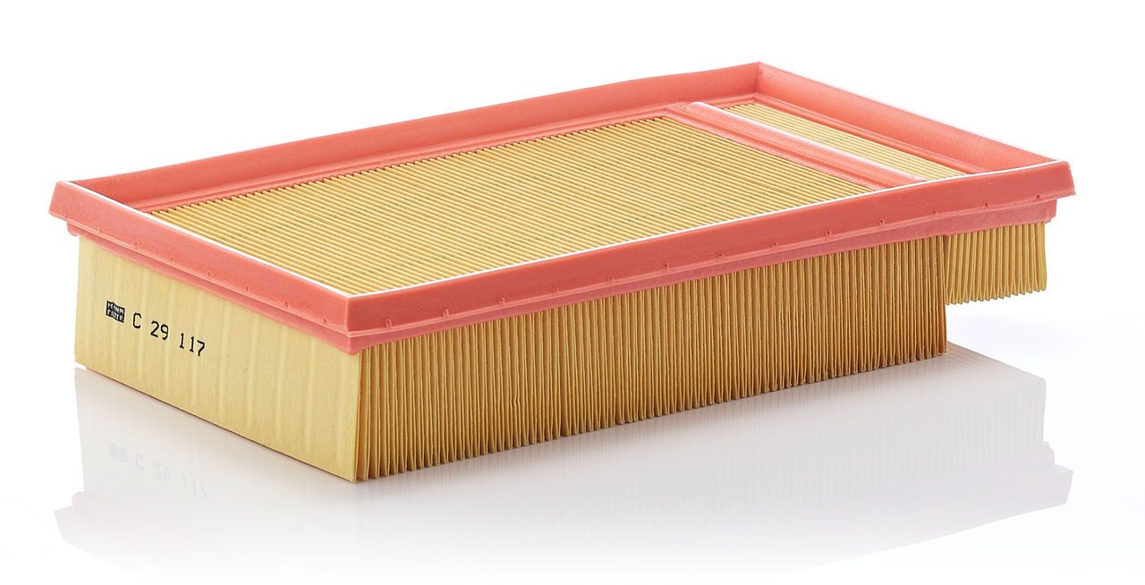 Product Image C29117_MANN-FILTER