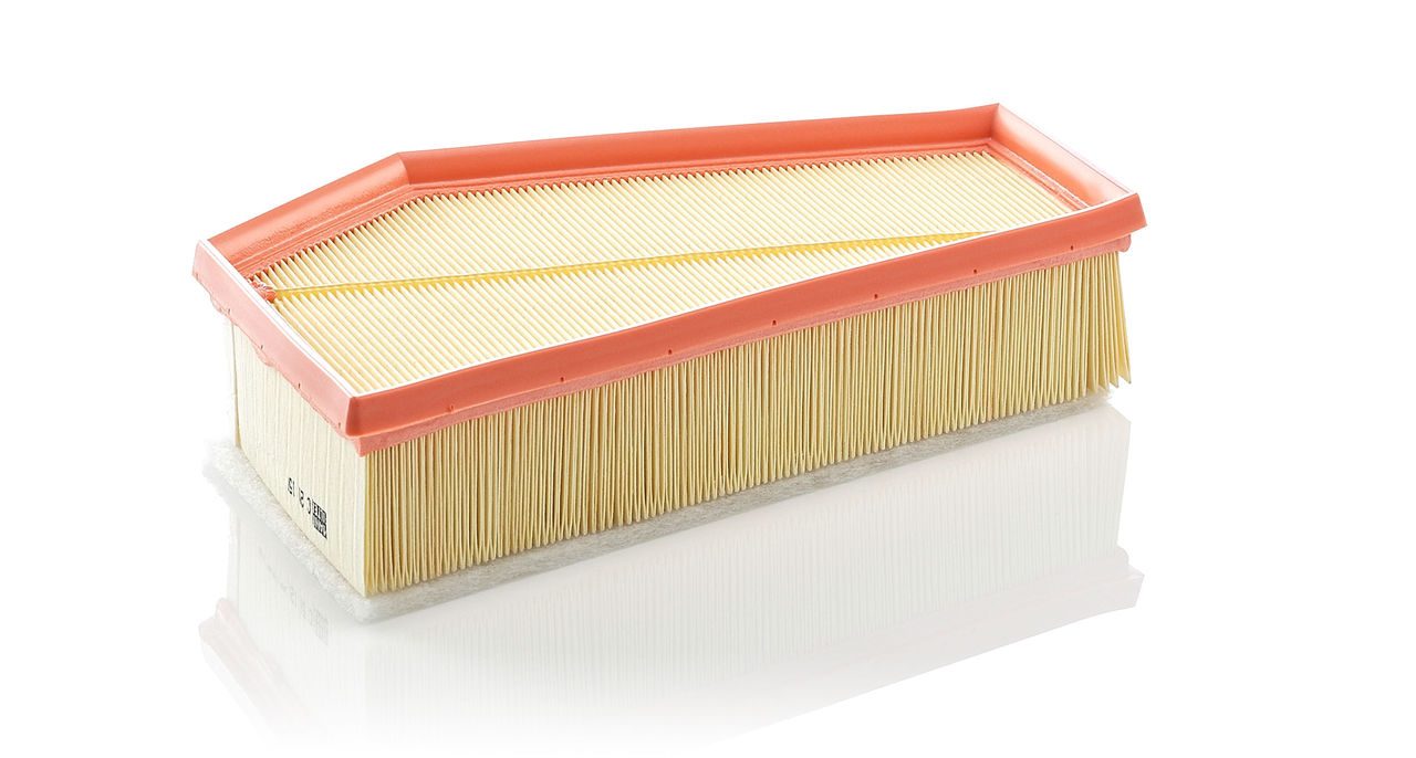 Product Image C29150_MANN-FILTER