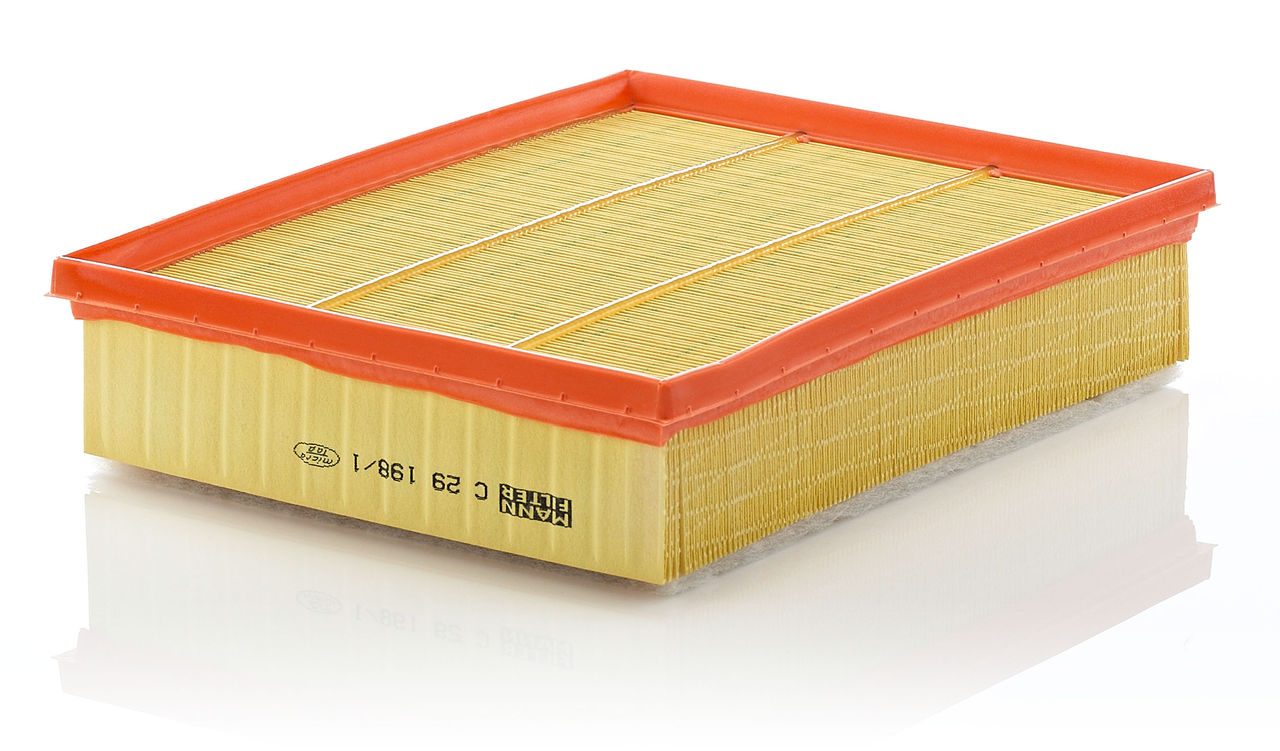Product Image C29198/1_MANN-FILTER