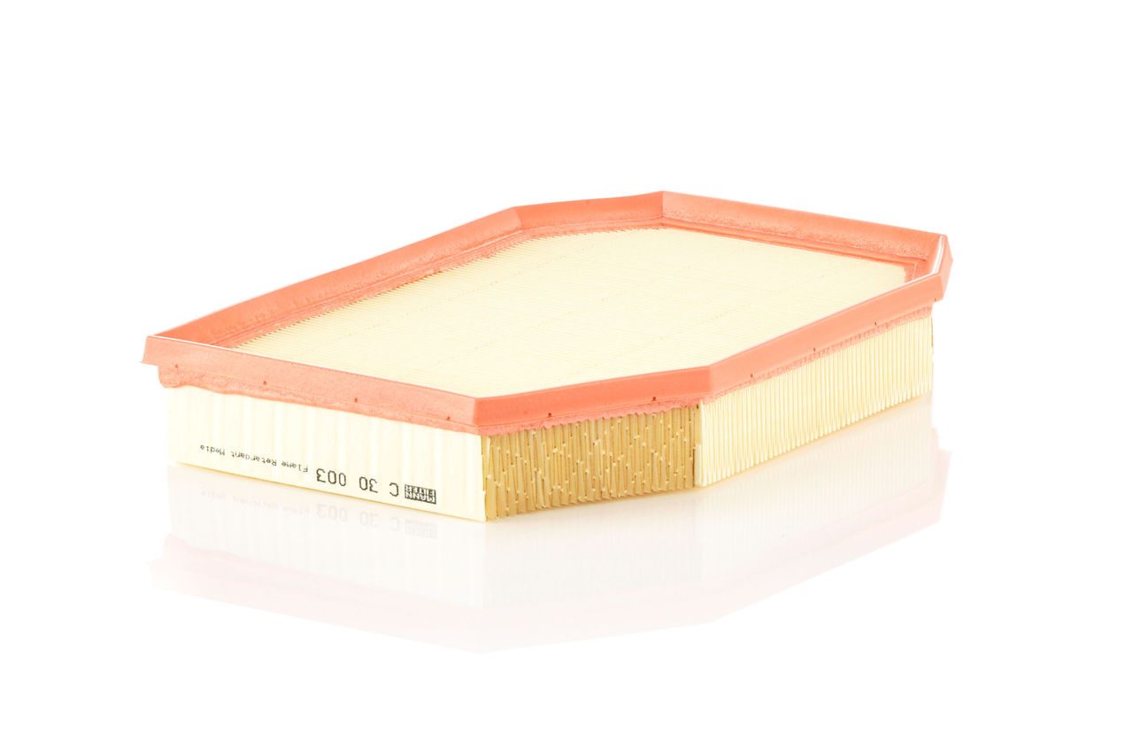 Product Image C30003_MANN-FILTER